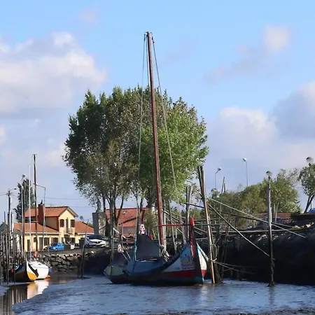 Casa Galricho 3* Murtosa