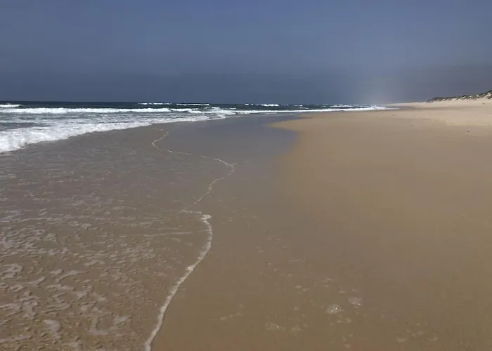 ゲストハウス Casa Galricho Murtosa