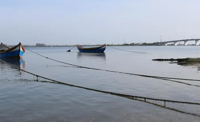 Casa Galricho Murtosa