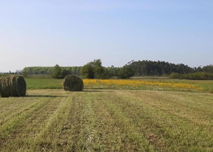 Casa Galricho Affittacamere